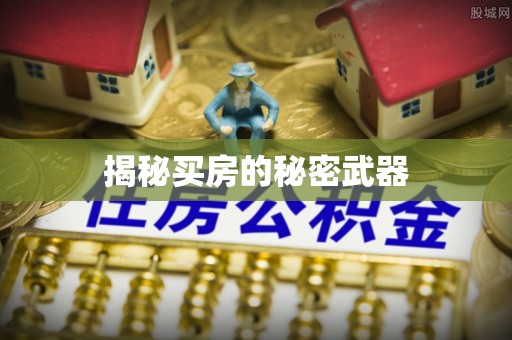 扶沟揭秘买房的秘密武器