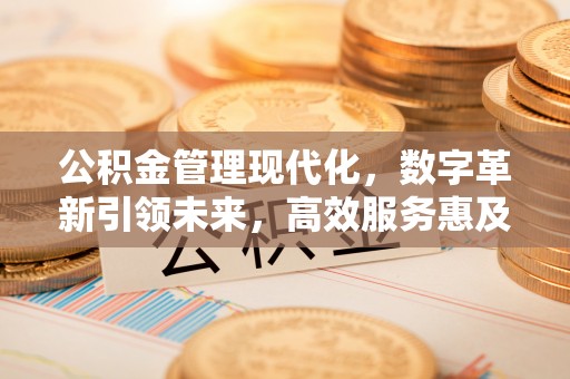 扶沟公积金管理现代化，数字革新引领未来，高效服务惠及民生