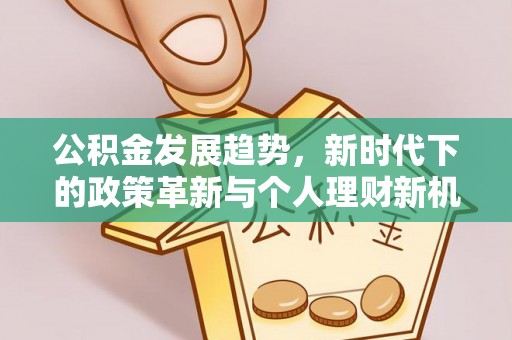 扶沟公积金发展趋势，新时代下的政策革新与个人理财新机遇